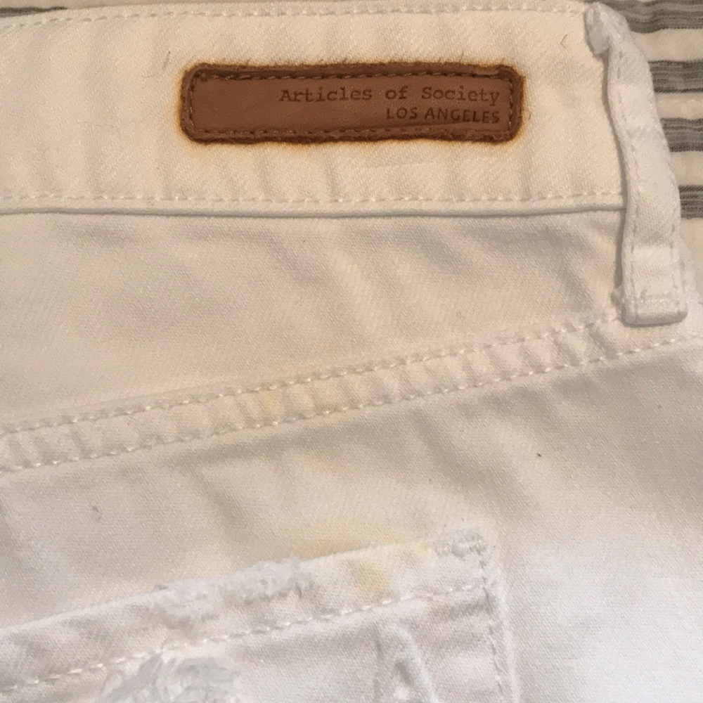 Articles of society shorts